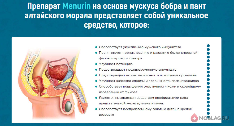 Менурин от простатита Menurin